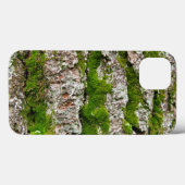 Pinienbrücke mit Moos Case-Mate iPhone Hülle (Rückseite (Horizontal))