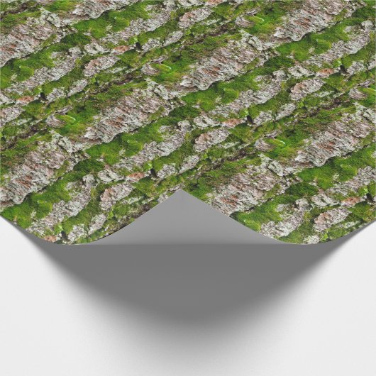 Pinienbrücke mit Moos Geschenkpapier (Ecke)