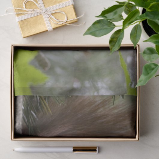 Pinienholzpapier Seidenpapier (Geschenk)