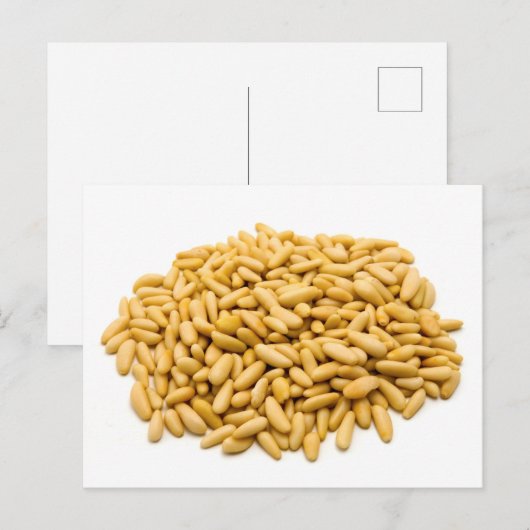 Pinienkerne Postkarte (Vorne/Hinten)
