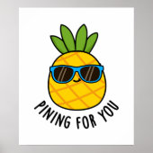 Pinienpuppe Poster (Vorne)