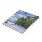 Pinienwald an der Küste Lettlands Fliese (Seite)