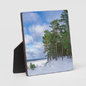 Pinienwald an der Küste Lettlands Fotoplatte (Vorderseite)