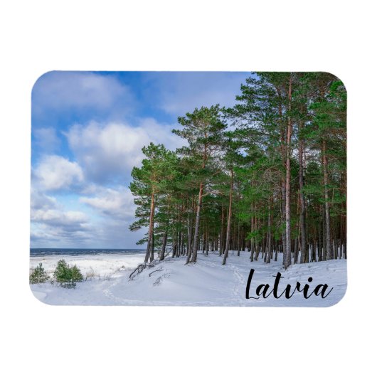 Pinienwald an der Küste Lettlands Magnet (Horizontal)