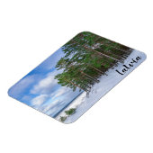 Pinienwald an der Küste Lettlands Magnet (Linke Seite)