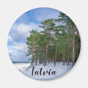 Pinienwald an der Küste Lettlands Magnet