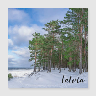Pinienwald an der Küste Lettlands Magnetkarte