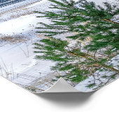 Pinienwald an der Küste Lettlands Poster (Ecke)