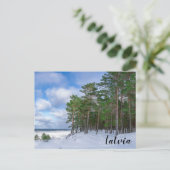 Pinienwald an der Küste Lettlands Postkarte (Stehend Vorderseite)
