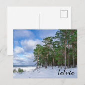 Pinienwald an der Küste Lettlands Postkarte (Vorne/Hinten)