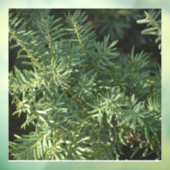 Pinienwald Fensteraufkleber (Blatt 3)