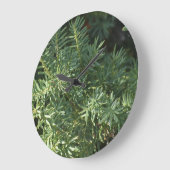 Pinienwald Große Wanduhr (Winkel)