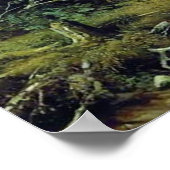 Pinienwald in der Provinz Viatka Poster (Ecke)