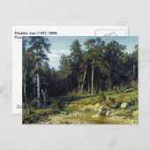 Pinienwald in der Provinz Viatka Postkarte (Vorne/Hinten)