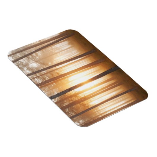 Pinienwald-Landschaft Magnet (Rechte Seite)