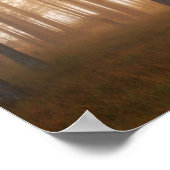 Pinienwald-Landschaft Poster (Ecke)