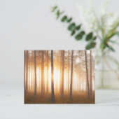 Pinienwald-Landschaft Postkarte (Stehend Vorderseite)