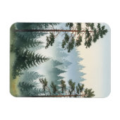 Pinienwald Magnet (Horizontal)