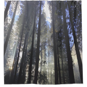 Pinienwald mit sonniger Natur Duschvorhang