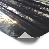 Pinienwald mit sonniger Natur Poster (Ecke)