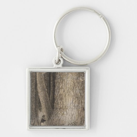 Pinienwald, Oregon Schlüsselanhänger (Vorne)