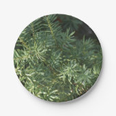 Pinienwald Pappteller (Vorderseite)