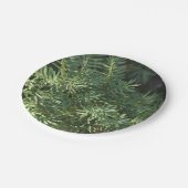 Pinienwald Pappteller (Schrägansicht)