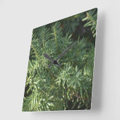 Pinienwald Quadratische Wanduhr (Winkel)