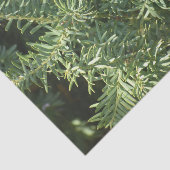 Pinienwald Seidenpapier (Ausschnitt)