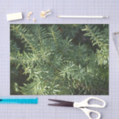 Pinienwald Seidenpapier (Handwerk)