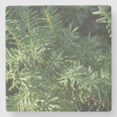 Pinienwald Steinuntersetzer (Vorderseite)