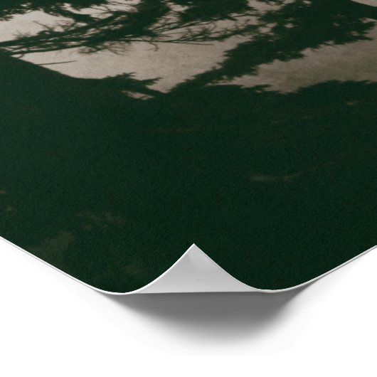 Pinienwald Vintage Pinien Wald Poster (Ecke)