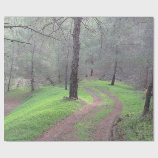 Pinienwaldstraße Geschenkpapier (Flach)