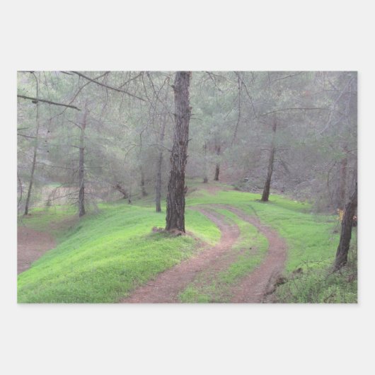 Pinienwaldstraße Geschenkpapier Set (Vorderseite 2)