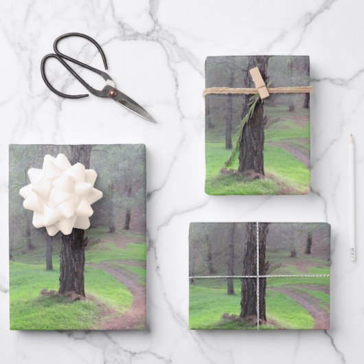 Pinienwaldstraße Geschenkpapier Set (Vorderseite)