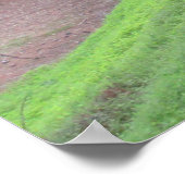 Pinienwaldstraße Poster (Ecke)