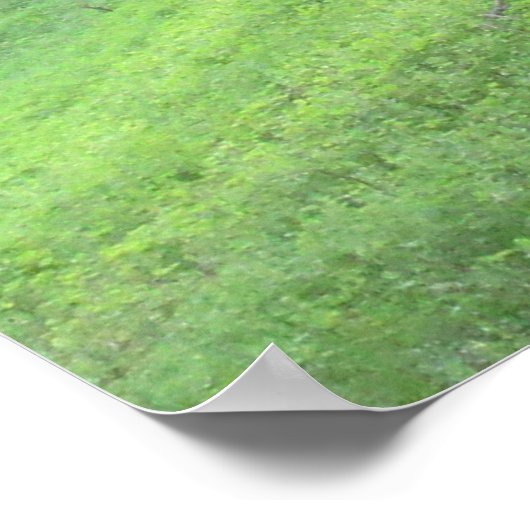 Pinienwaldstraße Poster (Ecke)