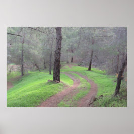 Pinienwaldstraße Poster