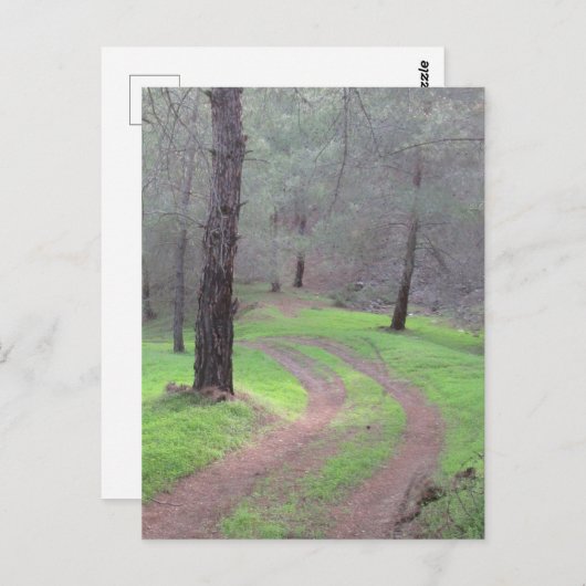 Pinienwaldstraße Postkarte (Vorne/Hinten)