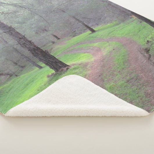 Pinienwaldstraße Sherpadecke (3/4)