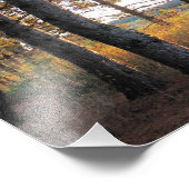 Pinienweg Fotodruck (Ecke)