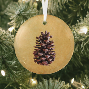 Pinienzapfen auf Vintage-Papier Ornament Aus Glas