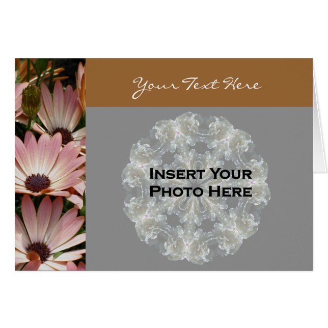 Pink African Daisies Floral Foto Card (Vorderseite (Horizontal))