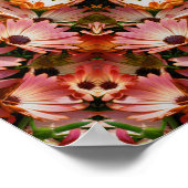 Pink African Daisy Blume Abstrakt Poster (Ecke)