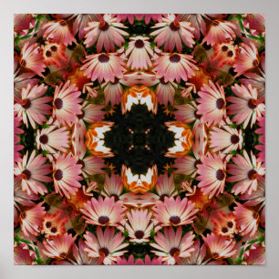 Pink African Daisy Blume Abstrakt Poster