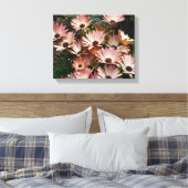 Pink African Daisy Blume Leinwanddruck (Insitu (Schlafzimmer))
