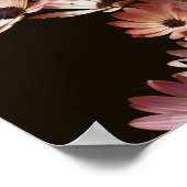 Pink African Daisy Blume Poster (Ecke)