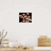 Pink African Daisy Blume Poster (Küche)