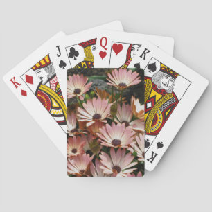 Pink African Daisy Blume Spielkarten