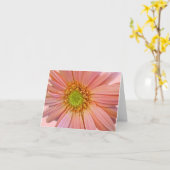 Pink African Daisy Note Card Karte (Gelbe Blume)
